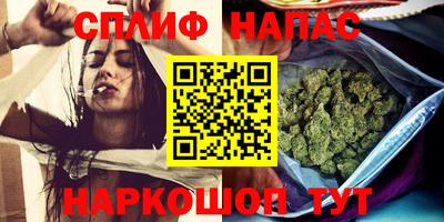 сатива Можайск