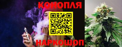 сатива Можайск