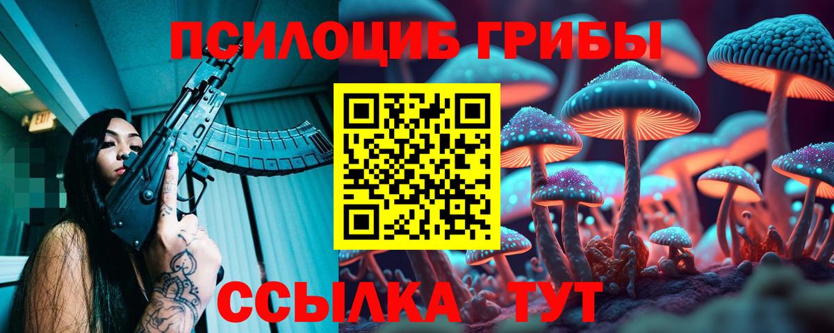 Грозный  Галлюциногенные грибы Magic Shrooms  купить закладку  Галлюциногенные грибы MAGIC MUSHROOMS  Вход с VPN 